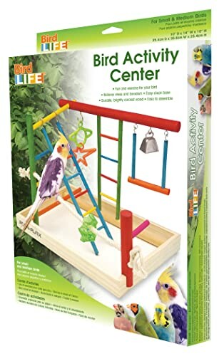Bird activity center for small and medium birds with ladder, swing, and bell.