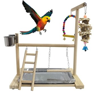 Hamiledyi Bird Playground