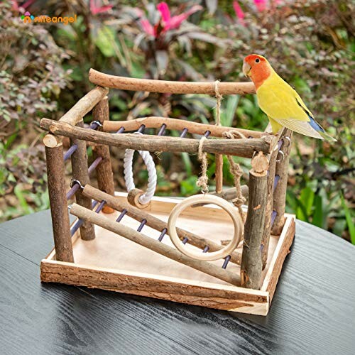 Bird on a wooden play structure with ropes and rings.