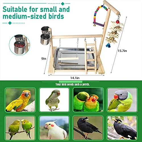 Wooden bird playstand with toys and food cups, suitable for small and medium-sized birds.
