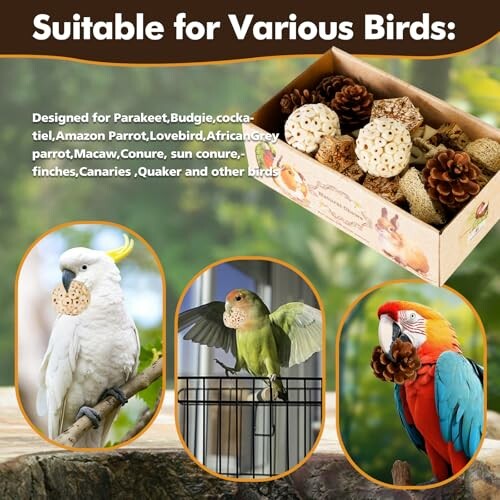Bird toys suitable for various species including parakeets, parrots, and macaws, with images of birds and a box of toys.