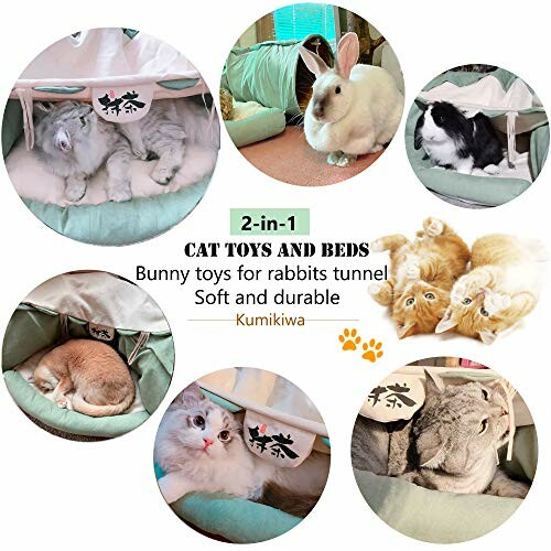 Collage of cats and a rabbit in soft pet beds and tunnels.