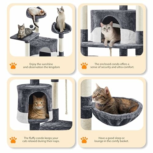 Four images of cats enjoying a multi-level cat condo.