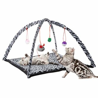 Cats playing on a zebra-patterned mat with hanging toys.