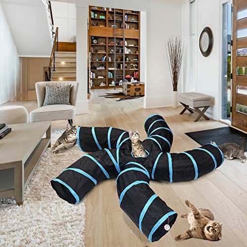 Cats playing in a multi-tunnel toy in a living room.