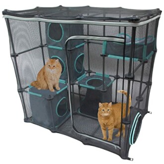 Two cats inside a mesh playpen with multiple levels.