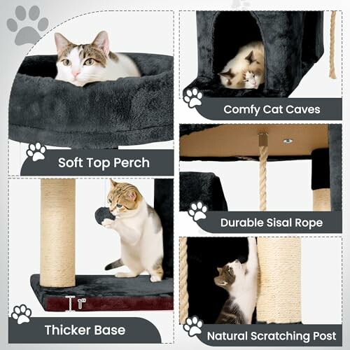 Cats using a cat tree with soft perch, comfy caves, and scratching post.