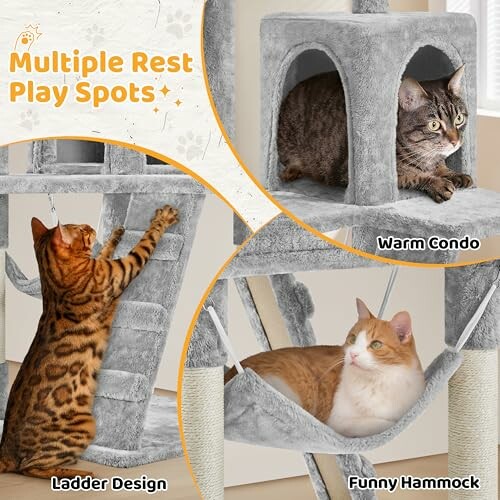 Cats enjoying a multi-level cat tree with different features.
