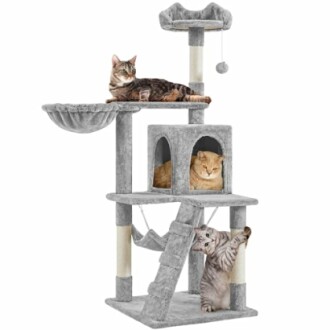 Cats playing on a multi-level cat tree with hanging ball.