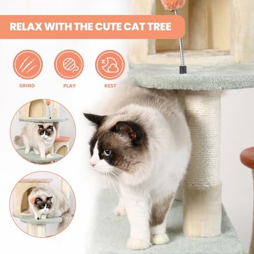 Cat playing on a cat tree with text 'Relax with the cute cat tree'.
