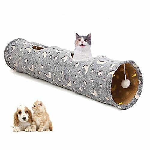 Cat sitting in a star-patterned tunnel with a dog and kitten nearby.