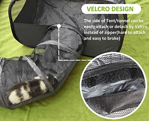 Cat inside a black mesh tunnel with Velcro design on a green surface.