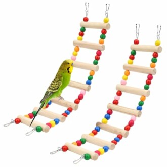 Green parakeet on a colorful wooden ladder toy with beads.