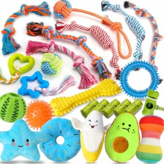 A collection of colorful dog toys including ropes, balls, and plush toys.