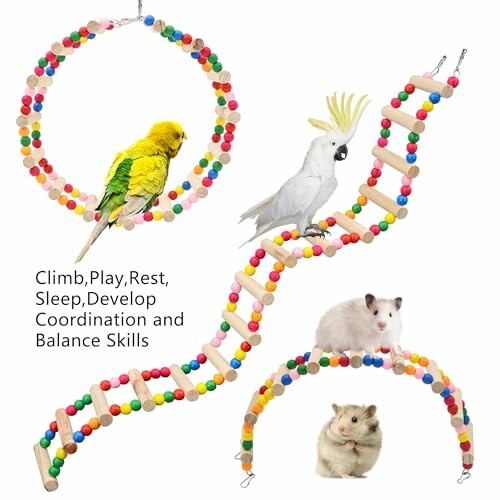 Colorful pet climbing toy with birds and hamsters.