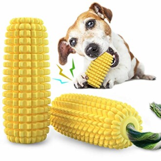 Dog playing with corn-shaped chew toy.