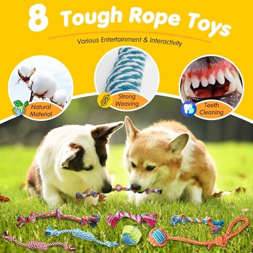 Two dogs playing with tough rope toys in the grass.