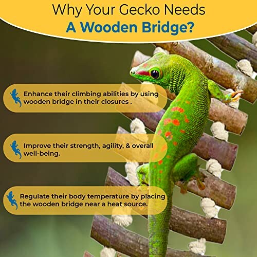 SunGrow Gecko Wooden Ladder Bridge