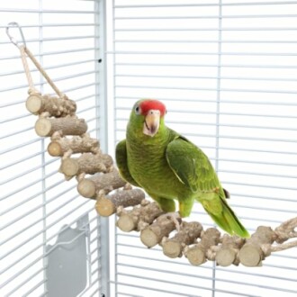Bird Ladder Swing