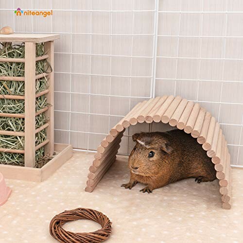 Niteangel Hamster Climbing Ladder