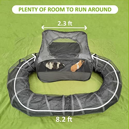 Guinea pig playpen with tunnel on green background.