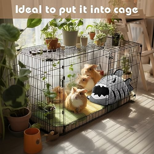 Avont Guinea Pig Hideout