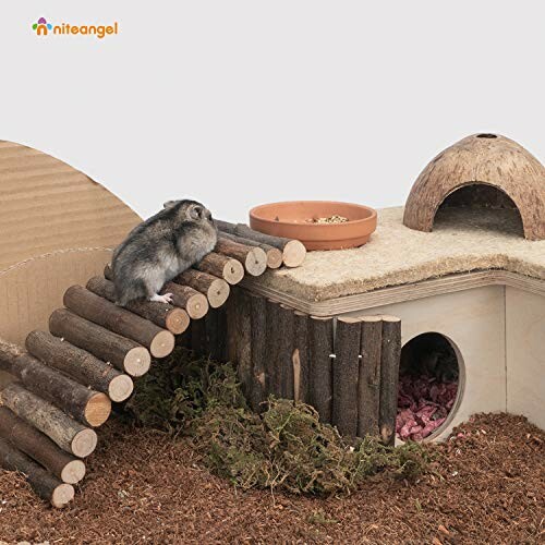 Hamster climbing a wooden bridge in a habitat setup.