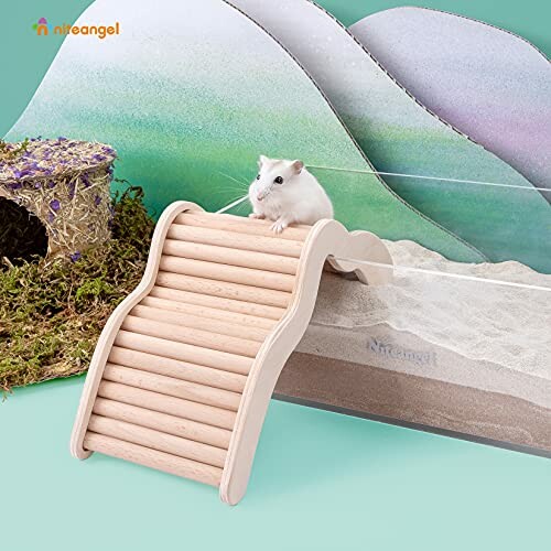 Niteangel Hamster Climbing Bridge Ladder