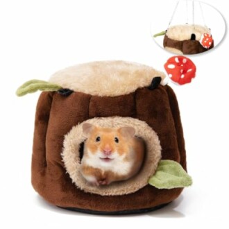 Guinea Pig Hideout