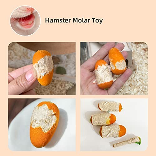Hamster molar toy with chew marks on it.
