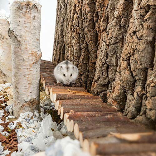 Hamster walking on a small wooden bridge near tree bark.