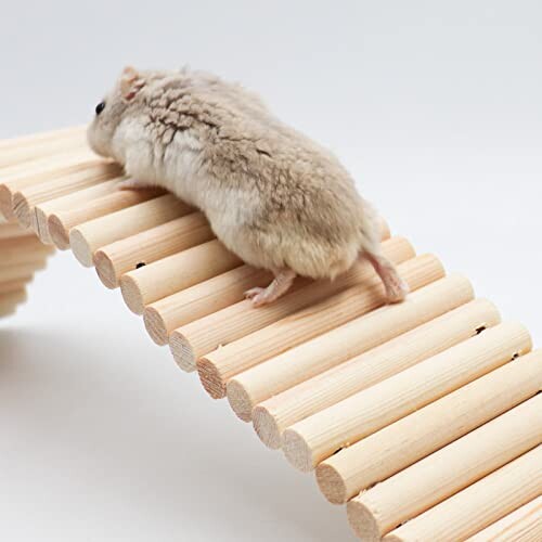 Hamster climbing a wooden bridge.