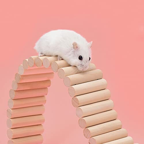 White hamster on a wooden bridge against a pink background.