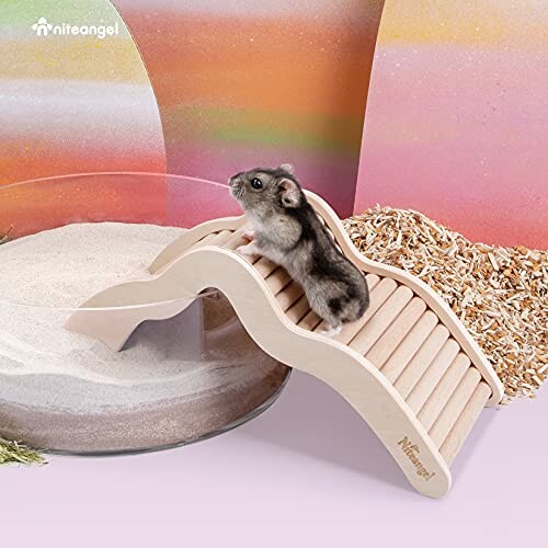 Hamster on a wooden bridge in a sand and bedding habitat.