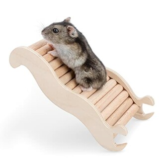 Hamster on a curved wooden ramp