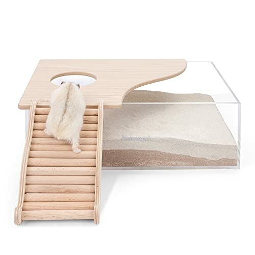 Hamster climbing a wooden ladder to a transparent sandbox.