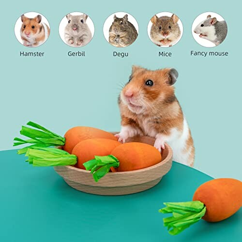 Niteangel Hamster Chew Toys