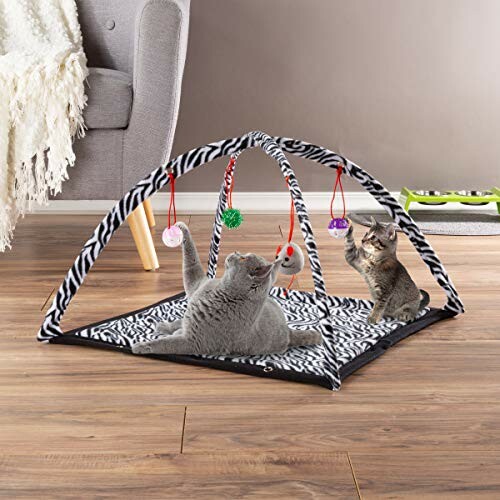 Two kittens playing on a zebra-patterned cat play gym with hanging toys.