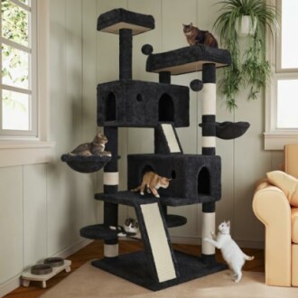 Cats playing on a multi-level cat tree indoors.