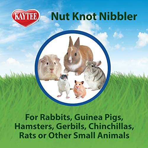 Nut Knot Nibbler toy for small animals like rabbits, guinea pigs, and hamsters.