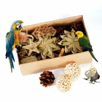 A box of natural parrot toys with two parrots and decorative pinecones.