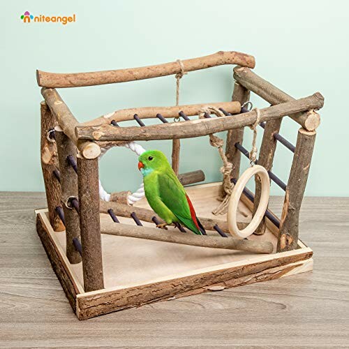 Niteangel Natural Living Playground