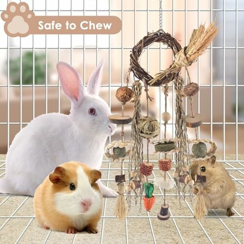 Rabbit, guinea pig, and hamster with hanging chew toy in cage.