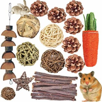 Assorted pet chew toys including sticks, pine cones, balls, carrot, and star with a rabbit and hamster.