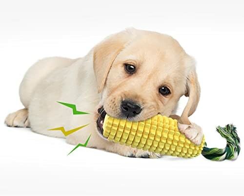 Puppy chewing on a corn-shaped toy.