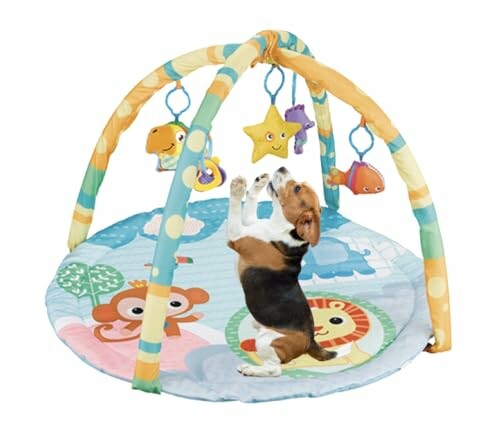 Puppy playing on a colorful baby activity mat with hanging toys.