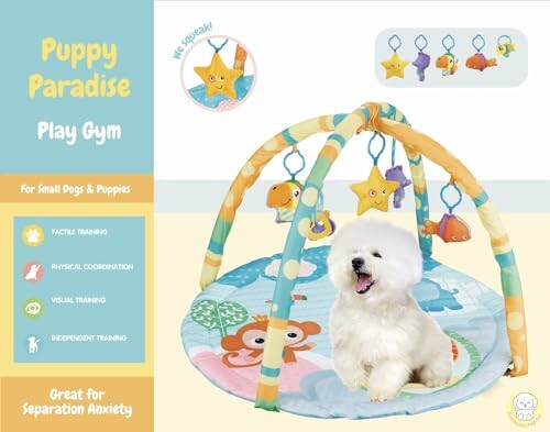 Puppy Play Gym