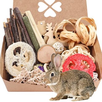 Rabbit Chew Toys Set