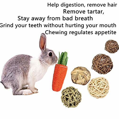 Rabbit with chew toys and benefits listed.