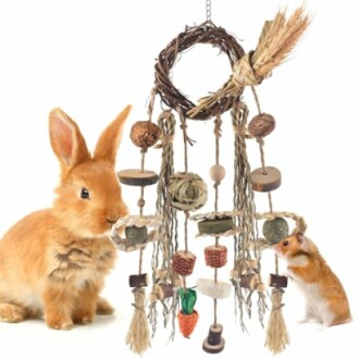 Bissap Bunny Chew Toy